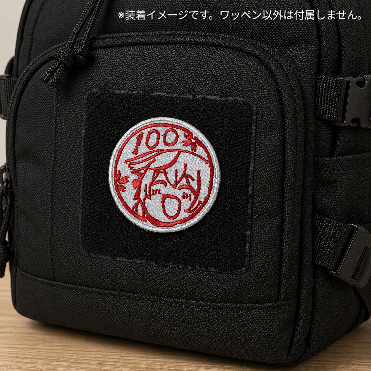 ブルアカ ココナ教官 刺繍ベルクロワッペン 満点仕様